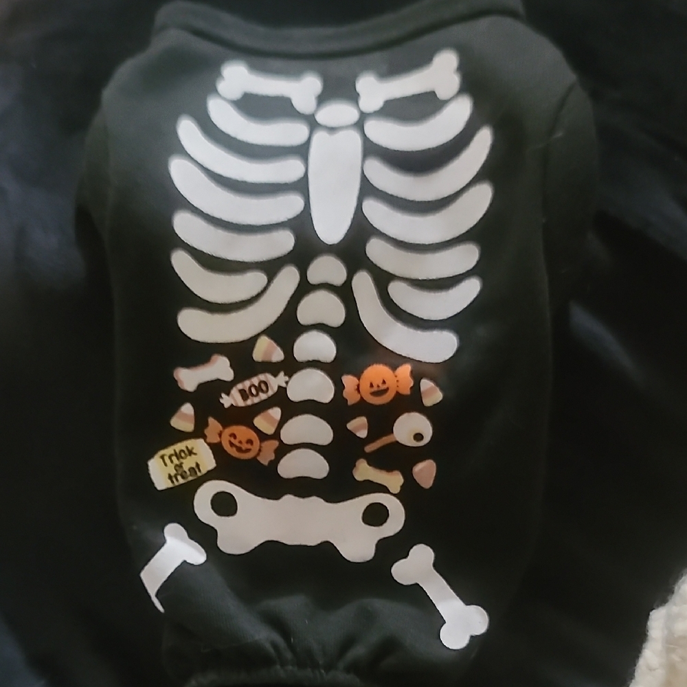 Black and White Skeleton Dog Costume Halloween